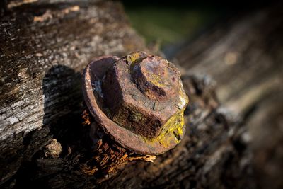 Close-up of rusty machine part