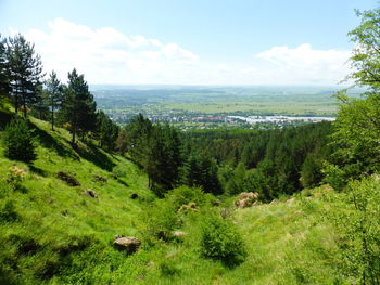 Scenic view of landscape against sky