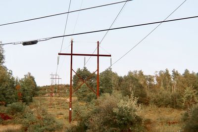 Plants growing on land against sky