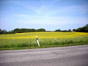 Road passing through field