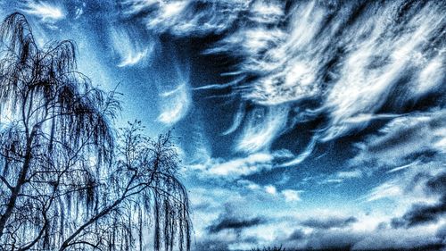 Low angle view of tree against sky