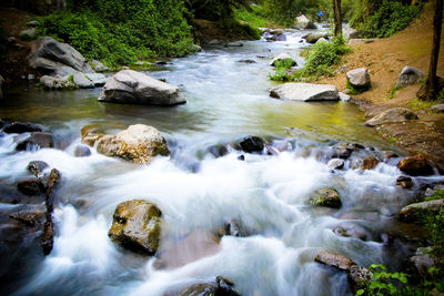 Stream flowing through rocks in forest