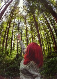 Trees growing in forest