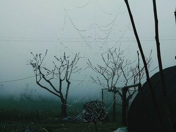 Bare trees against sky during winter