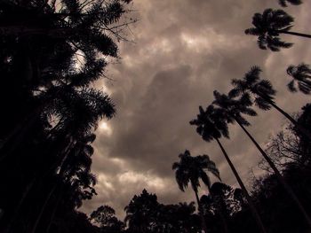Low angle view of silhouette trees against cloudy sky