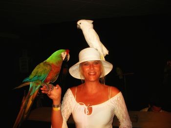 Parrots perching on smiling woman hand and head at night