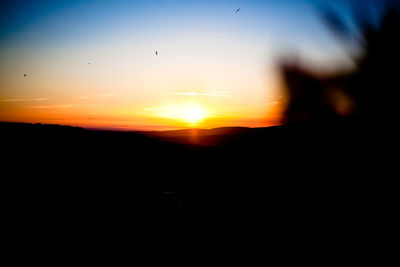 Silhouette bird flying against sky during sunset