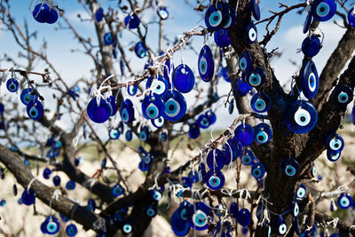 Blue nazars hanging from bare tree