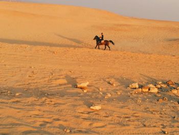 Men riding horse on sand