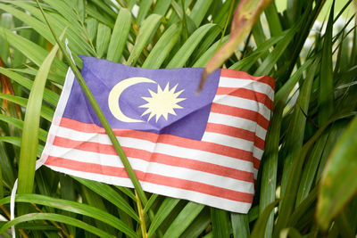 Close-up of malaysian flag against plants