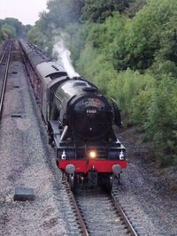 Train on railroad track amidst trees against sky