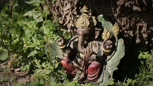 Close-up of buddha statue against plants