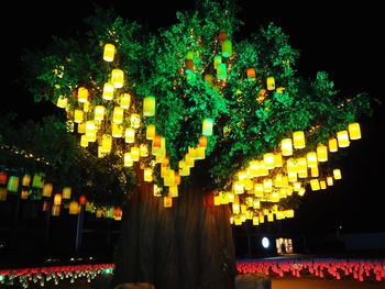 Illuminated lanterns hanging on tree