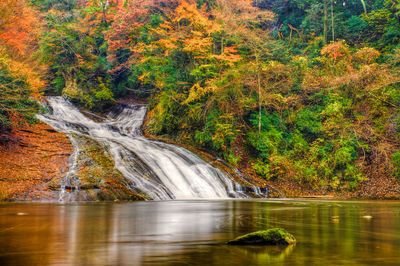 Scenic view of waterfall in forest during autumn