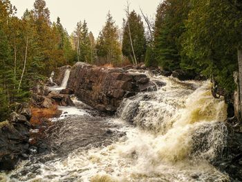 Stream flowing through rocks in forest