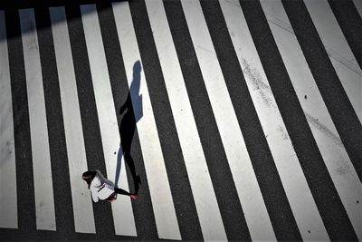 Full frame shot of zebra