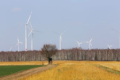 Wind turbines on field against sky