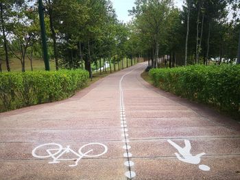 High angle view of signs on footpath in park