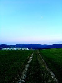 Scenic view of agricultural field against clear blue sky