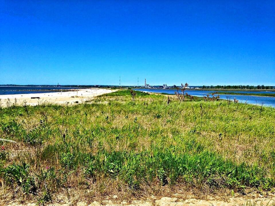 clear sky, blue, copy space, water, sea, grass, tranquility, tranquil scene, horizon over water, beach, nature, scenics, beauty in nature, shore, sand, day, sunlight, plant, outdoors, idyllic