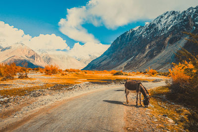 Landscape view of ladakh india.