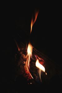 Close-up of bonfire at night