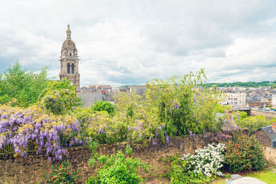 View of flowering trees and buildings against cloudy sky