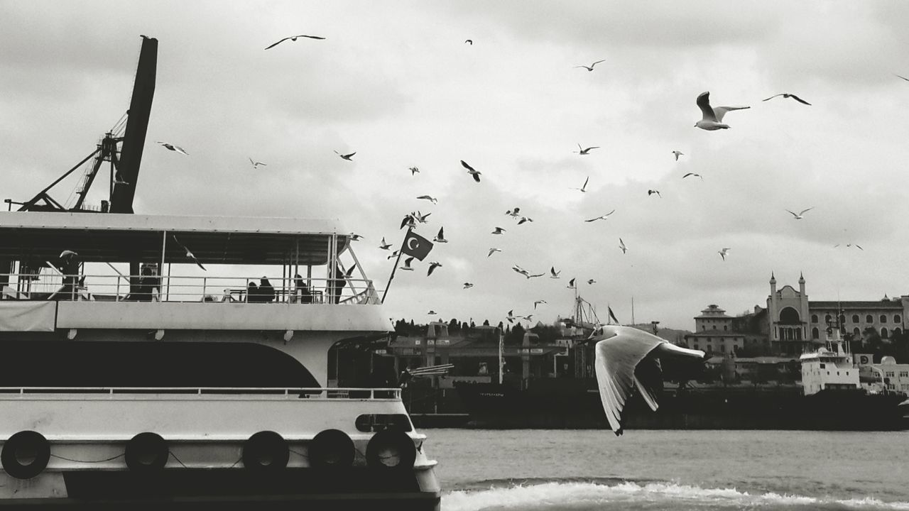 bird, flying, architecture, built structure, animal themes, animals in the wild, building exterior, wildlife, water, sky, seagull, transportation, nautical vessel, flock of birds, cloud - sky, mode of transport, river, city, spread wings