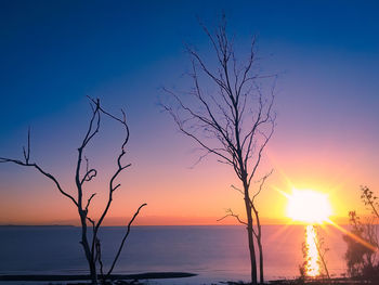 Silhouette bare tree by sea against sky during sunset