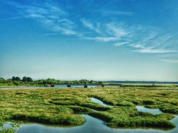 Scenic view of landscape against sky