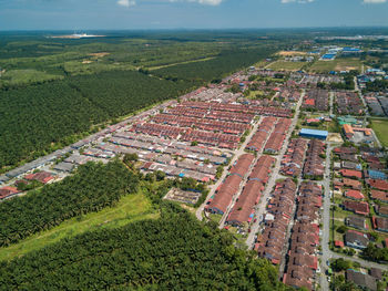 High angle view of agricultural field