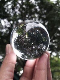 Close-up of hand holding glass of crystal ball