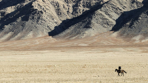 Man riding horse at desert