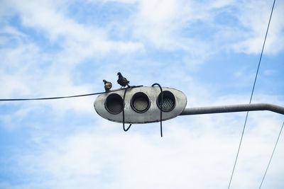 Two pigeons sitting at the traffic light against blue sky with clouds. beautiful day. 