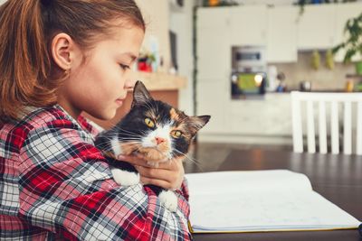 Rear view of girl with cat sitting on chair at home