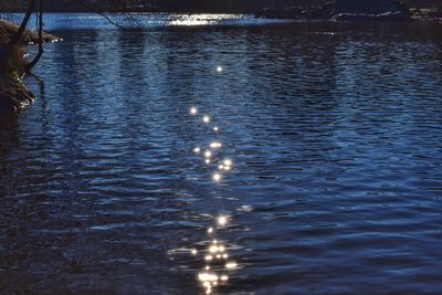 Reflection of trees in water