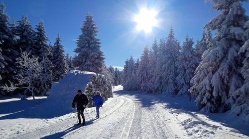 People on snow covered landscape