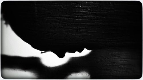 Close-up of shadow on leaf