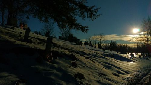 View of trees against sky