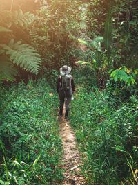 Rear view of woman walking on field