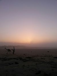 Scenic view of sea against sky at sunset