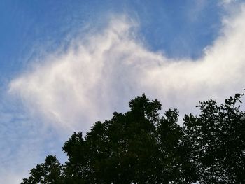 Low angle view of tree against cloudy sky