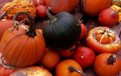 Full frame shot of pumpkins in market