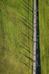 High angle view of agricultural field
