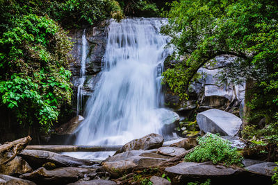 Scenic view of waterfall in forest