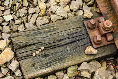 Close-up of wood on rock