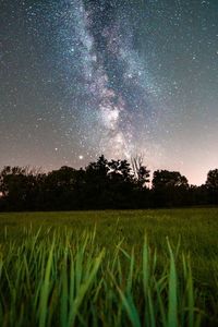 Scenic view of field against sky at night