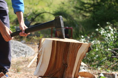 Man holding ax and chopping wood