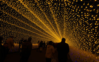 Rear view of people watching firework display at night