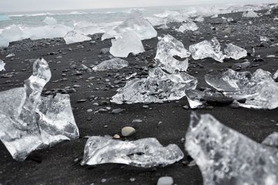 Close-up of sea shore